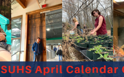 LSUHS Calendar Corral: April 2019