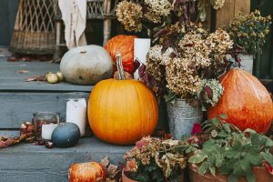 Pumpkins in the fall bring on the anxiety over school